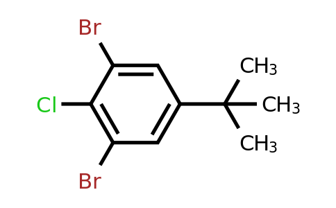 1000578-25-5 | 1,3-Dibromo-5-(tert-butyl)-2-chlorobenzene