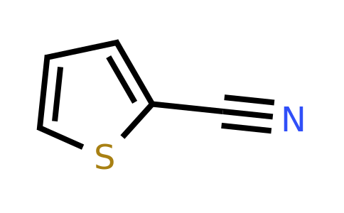 1003-31-2 | 2-Thiophenecarbonitrile