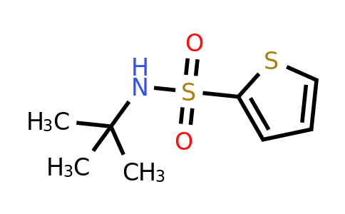100342-30-1 | N-tert-Butyl-2-thiophenesulfonamide