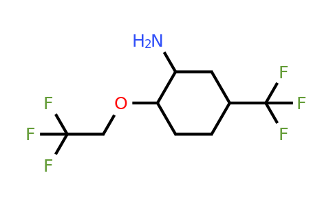 2-(2,2,2-Trifluoroethoxy)-5-(trifluoromethyl)cyclohexan-1-amine