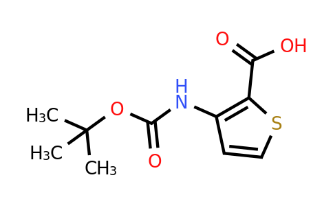 101537-64-8 | 3-((Tert-butoxycarbonyl)amino)thiophene-2-carboxylic acid