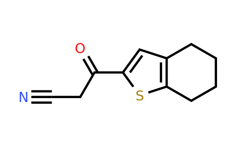 1019385-55-7 | 3-Oxo-3-(4,5,6,7-tetrahydro-1-benzothiophen-2-yl)propanenitrile