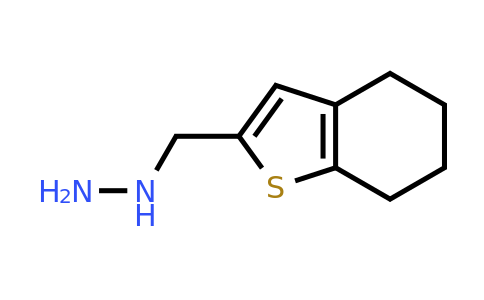 1019450-59-9 | ((4,5,6,7-Tetrahydrobenzo[b]thiophen-2-yl)methyl)hydrazine