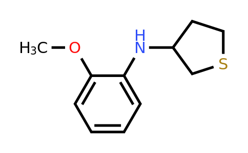1019489-31-6 | n-(2-Methoxyphenyl)tetrahydrothiophen-3-amine
