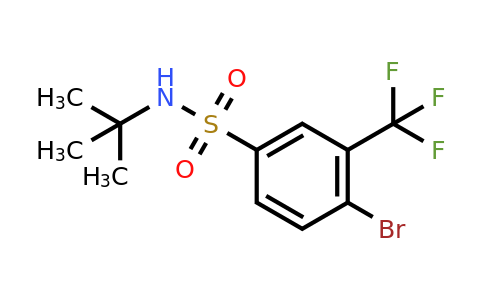 1020253-06-8 | 4-Bromo-N-(tert-butyl)-3-(trifluoromethyl)benzenesulfonamide