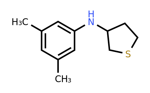 1020955-41-2 | n-(3,5-Dimethylphenyl)tetrahydrothiophen-3-amine