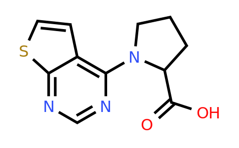 1028366-39-3 | Thieno[2,3-d]pyrimidin-4-ylproline