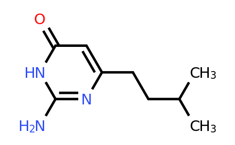 1030419-93-2 | 2-Amino-6-isopentylpyrimidin-4(3H)-one