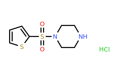 1032757-93-9 | 1-(Thiophene-2-sulfonyl)piperazine hydrochloride
