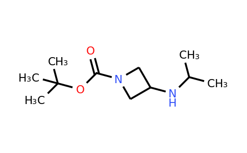 1033716-68-5 | tert-Butyl 3-(isopropylamino)azetidine-1-carboxylate