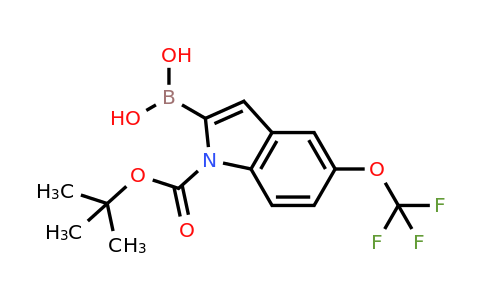 1034566-16-9 | (1-(tert-Butoxycarbonyl)-5-(trifluoromethoxy)-1H-indol-2-yl)boronic acid