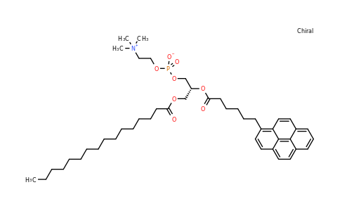 103625-33-8 | L-alpha-Phosphatidylcholinebeta-(pyren-1-yl)hexanoyl-gamma-palmitoyl