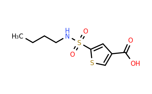 1036498-34-6 | 5-(n-Butylsulfamoyl)thiophene-3-carboxylic acid