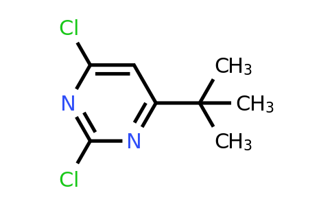 1037535-38-8 | 4-(tert-Butyl)-2,6-dichloropyrimidine