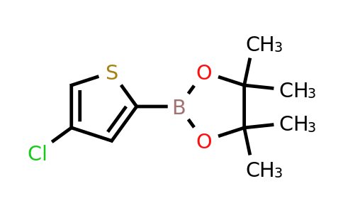 1040281-84-2 | 2-(4-Chlorothiophen-2-yl)-4,4,5,5-tetramethyl-1,3,2-dioxaborolane