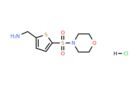 1049701-91-8 | (5-(Morpholinosulfonyl)thiophen-2-yl)methanamine hydrochloride