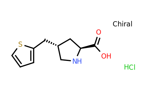 1049753-34-5 | (2S,4S)-4-(thiophen-2-ylmethyl)pyrrolidine-2-carboxylic acid hydrochloride