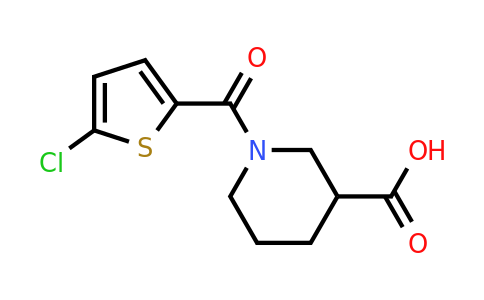 1053983-22-4 | 1-(5-Chlorothiophene-2-carbonyl)piperidine-3-carboxylic acid