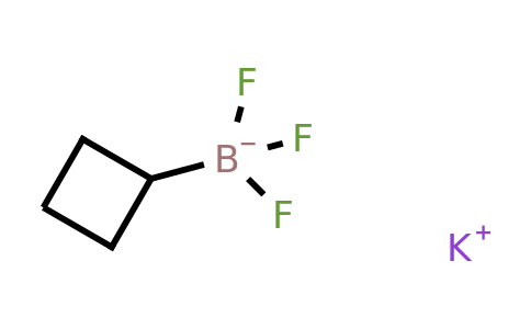 1065010-88-9 | Potassium cyclobutyltrifluoroboranuide