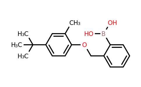 (2-((4-(Tert-butyl)-2-methylphenoxy)methyl)phenyl)boronic acid
