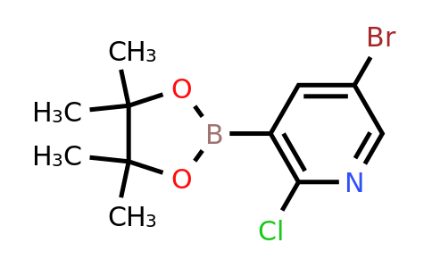1073354-79-6 | 5-Bromo-2-chloropyridine-3-boronic acid, pinacol ester