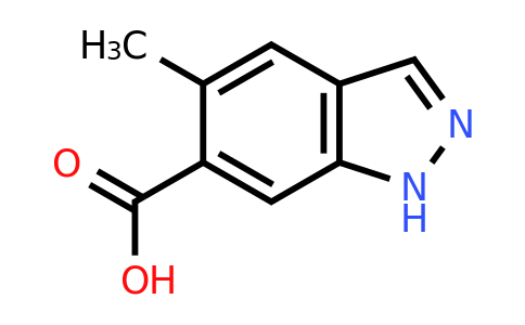 1082042-16-7 | 5-Methyl-1h-indazole-6-carboxylic acid