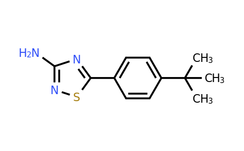 1086385-86-5 | 5-(4-tert-Butylphenyl)-1,2,4-thiadiazol-3-amine