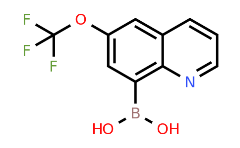 1089179-11-2 | [6-(Trifluoromethoxy)quinolin-8-yl]boronic acid