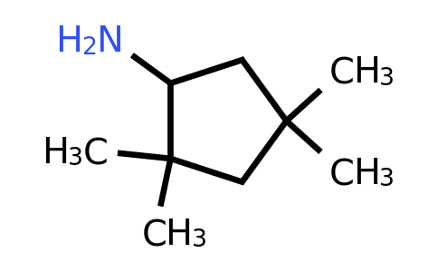 2,2,4,4-Tetramethylcyclopentan-1-amine
