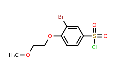 3-Bromo-4-(2-methoxyethoxy)benzene-1-sulfonyl chloride