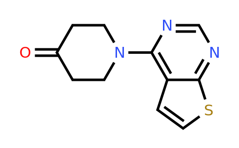 1094427-64-1 | 1-(Thieno[2,3-d]pyrimidin-4-yl)piperidin-4-one