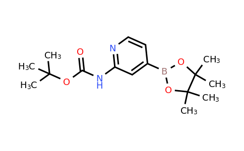 tert-Butyl (4-(4,4,5,5-tetramethyl-1,3,2-dioxaborolan-2-yl)pyridin-2-yl)carbamate