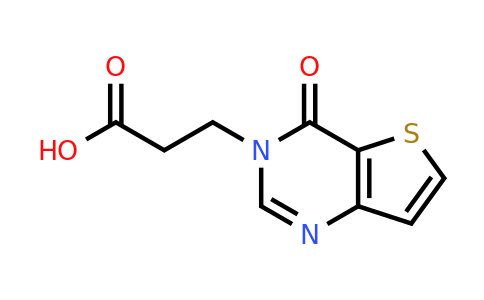 1096966-40-3 | 3-{4-oxo-3h,4h-thieno[3,2-d]pyrimidin-3-yl}propanoic acid