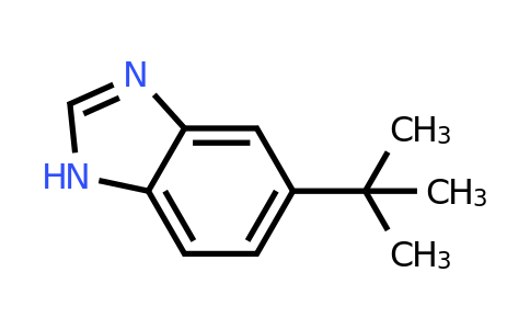 110534-15-1 | 5-(tert-Butyl)-1H-benzo[d]imidazole