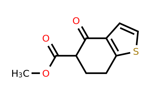 112101-60-7 | Methyl 4-oxo-4,5,6,7-tetrahydrobenzo[b]thiophene-5-carboxylate