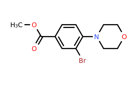 1131622-56-4 | Methyl 3-bromo-4-morpholinobenzoate