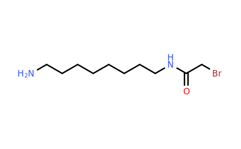 N-(8-Aminooctyl)-2-bromoacetamide