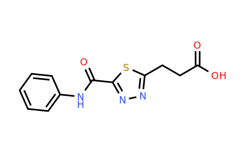 1142209-41-3 | 3-(5-(Phenylcarbamoyl)-1,3,4-thiadiazol-2-yl)propanoic acid