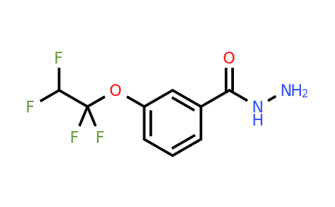 114467-21-9 | 3-(1,1,2,2-Tetrafluoroethoxy)benzohydrazide