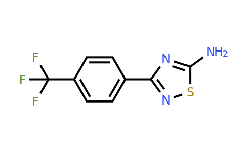 1153981-93-1 | 3-[4-(Trifluoromethyl)phenyl]-1,2,4-thiadiazol-5-amine