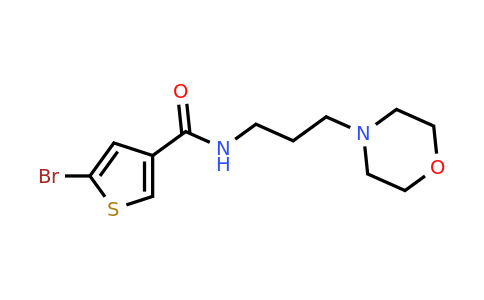 1153999-93-9 | 5-Bromo-N-(3-morpholinopropyl)thiophene-3-carboxamide