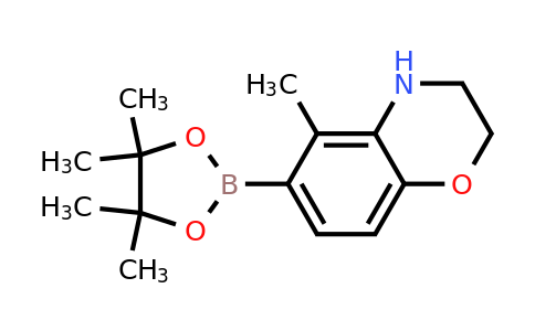 1154740-49-4 | 5-Methyl-6-(4,4,5,5-tetramethyl-1,3,2-dioxaborolan-2-yl)-3,4-dihydro-2H-benzo[b][1,4]oxazine