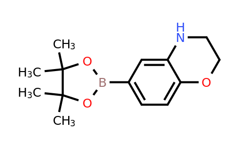 1155264-46-2 | 6-(4,4,5,5-Tetramethyl-1,3,2-dioxaborolan-2-yl)-3,4-dihydro-2H-benzo[b][1,4]oxazine