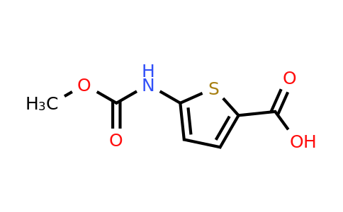 1155571-96-2 | 5-[(methoxycarbonyl)amino]thiophene-2-carboxylic acid