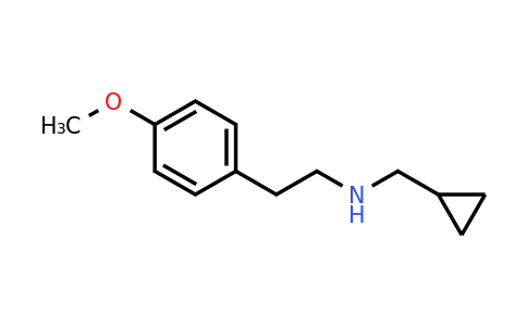 1156172-11-0 | n-(Cyclopropylmethyl)-2-(4-methoxyphenyl)ethan-1-amine