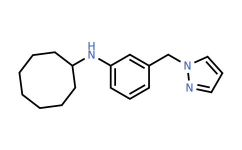 1157287-96-1 | n-[3-(1h-pyrazol-1-ylmethyl)phenyl]cyclooctanamine