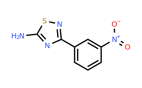 115919-41-0 | 3-(3-Nitrophenyl)-1,2,4-thiadiazol-5-amine