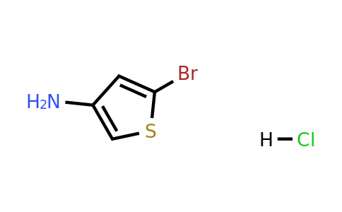 1159823-91-2 | 5-Bromothiophen-3-amine hydrochloride