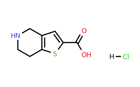 116118-99-1 | 4,5,6,7-Tetrahydrothieno[3,2-c]pyridine-2-carboxylic acid hydrochloride