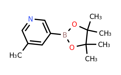 1171891-42-1 | 3-Methyl-5-(4,4,5,5-tetramethyl-1,3,2-dioxaborolan-2-yl)pyridine